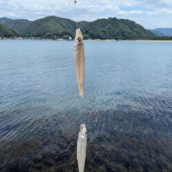 エサは鮮度が命